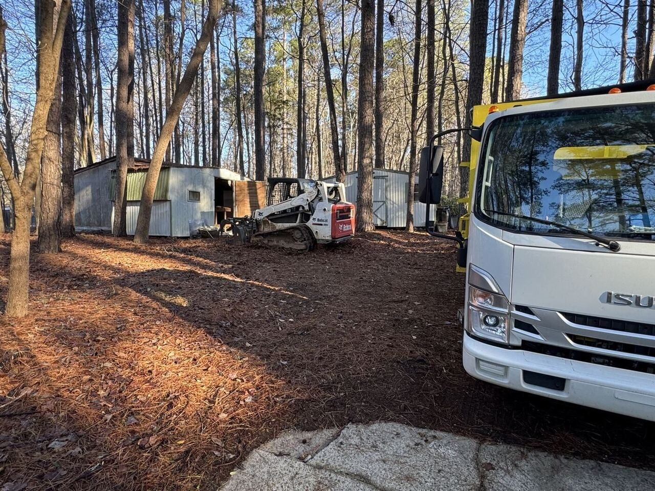 Shed Removal